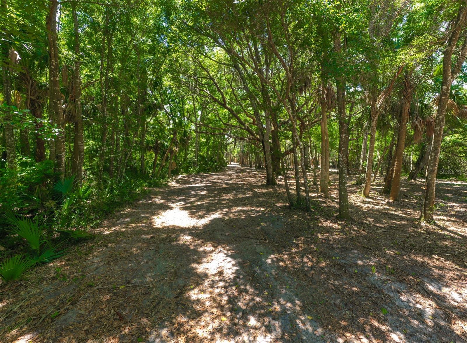 4400 N OCEAN SHORE BLVD, PALM COAST, FL — photo 15
