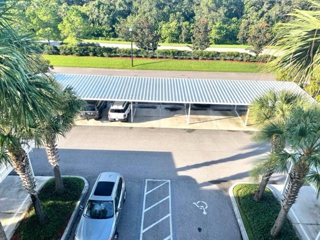7019 RIVER HAMMOCK DR #404, BRADENTON, FL — photo 20