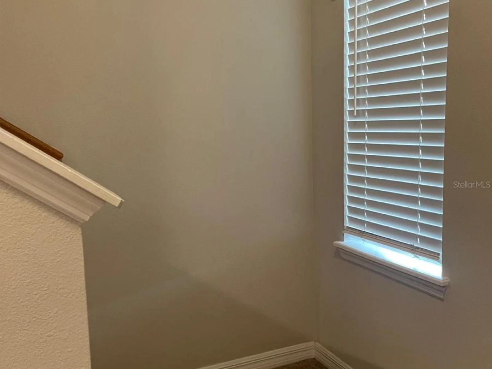 10731 SILK TREE CT, ORLANDO, FL — photo 36