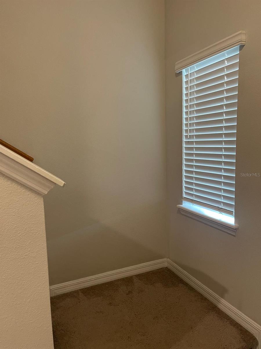 10731 SILK TREE CT, ORLANDO, FL — photo 35