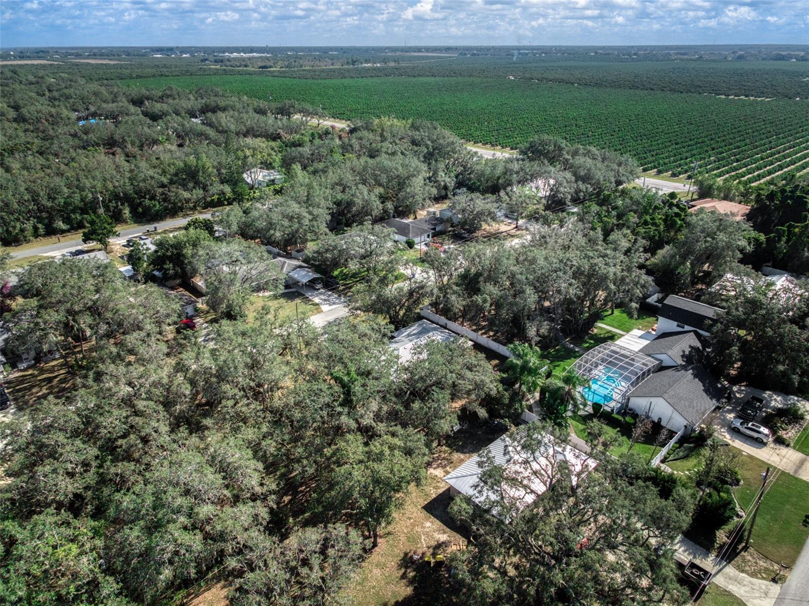 1771 N TORRINGTON RD, AVON PARK, FL — photo 44