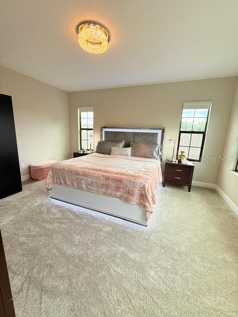 2667 NORTHWOOD PARK ST, VALRICO, FL — photo 23