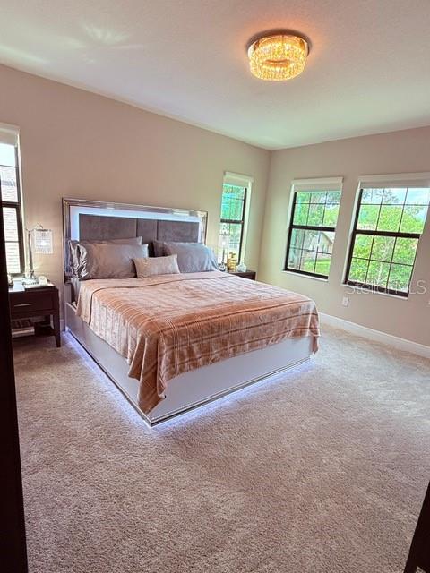 2667 NORTHWOOD PARK ST, VALRICO, FL — photo 24