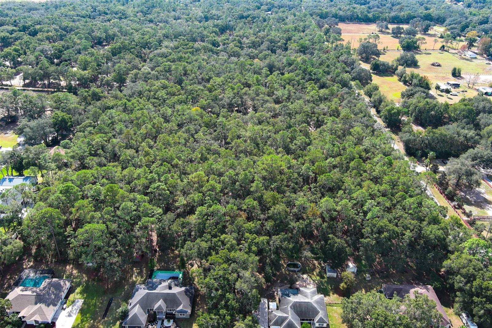 37600 ROLLING ACRES RD, LADY LAKE, FL — photo 76
