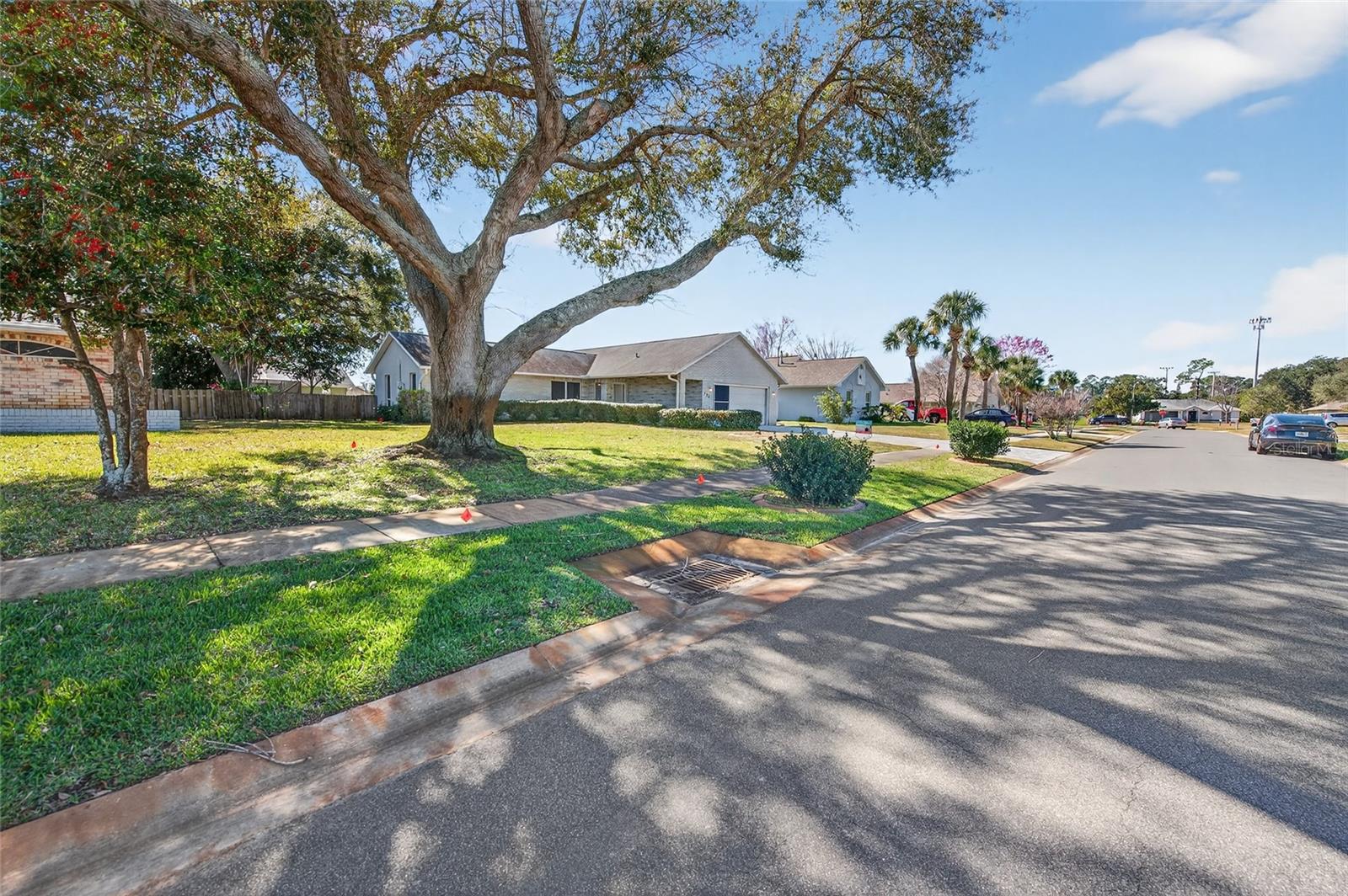 236 MEADOW LAKE DR, EDGEWATER, FL — photo 15