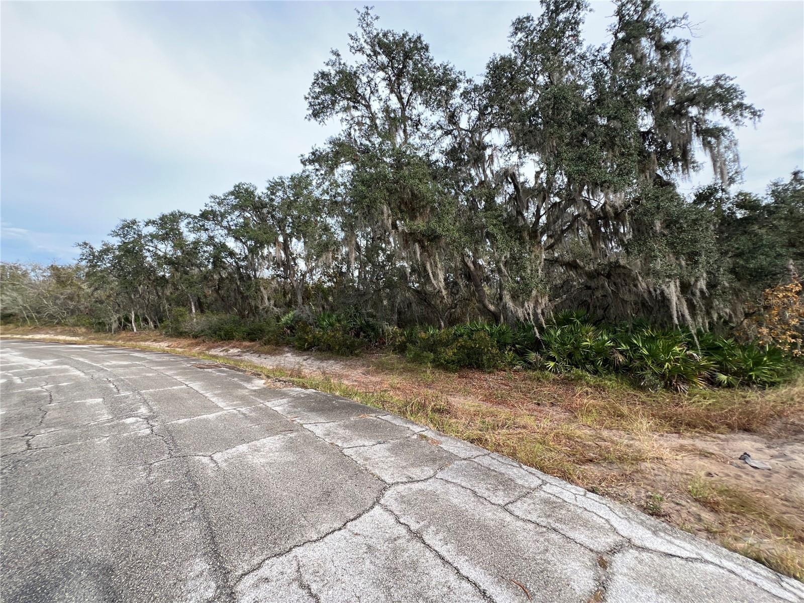 1251 BALTIC DR, KISSIMMEE, FL