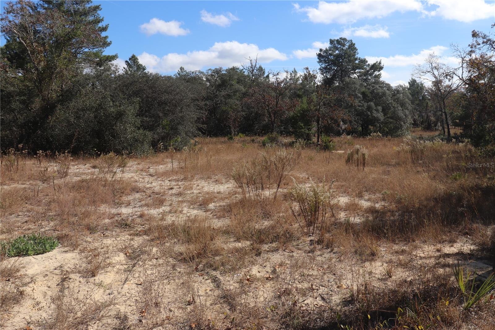 9097 N PEEWEE PT, DUNNELLON, FL