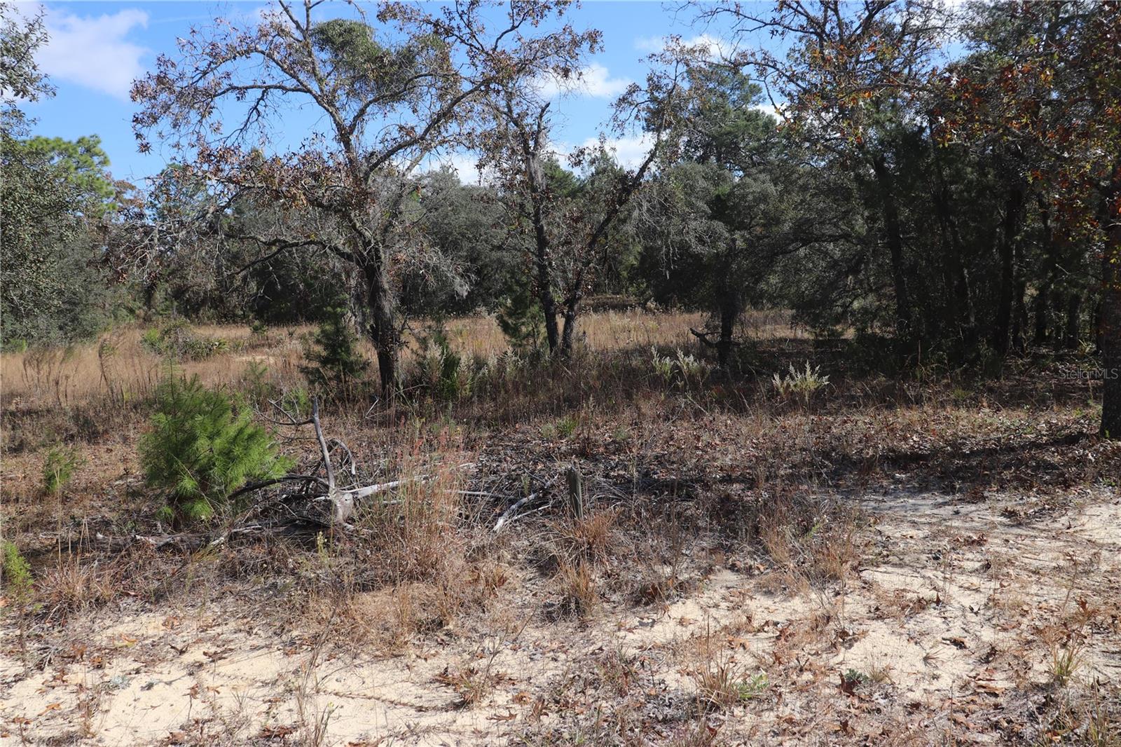 9097 N PEEWEE PT, DUNNELLON, FL — photo 2