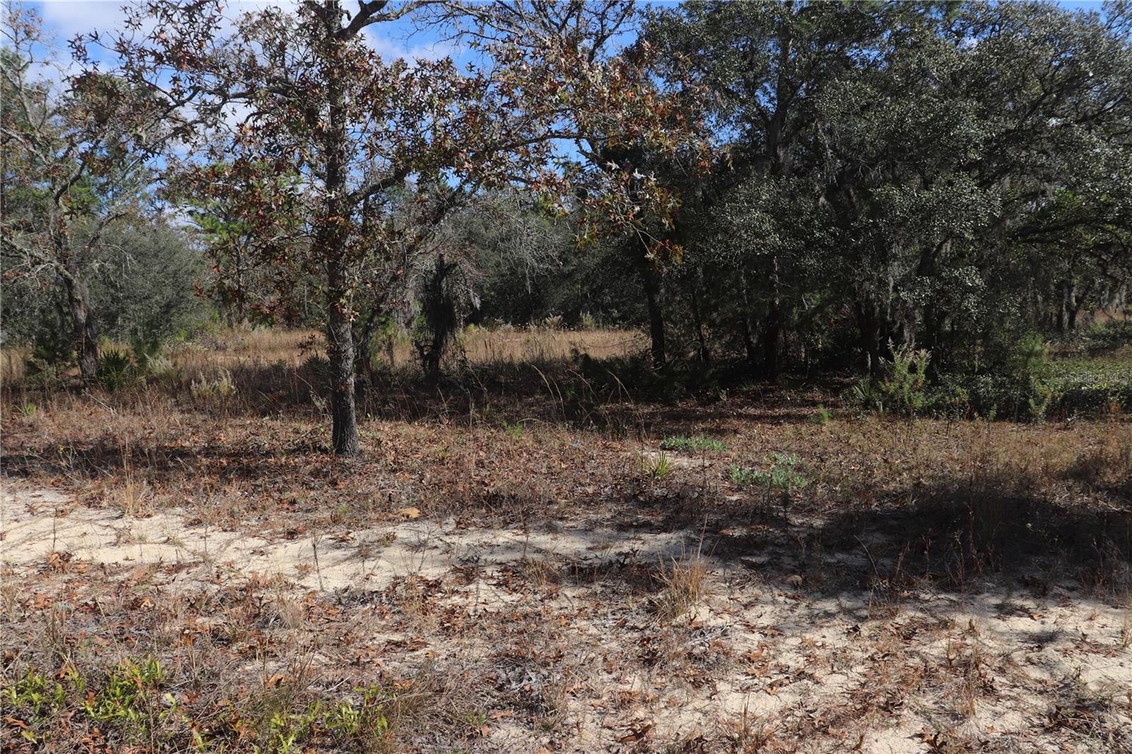 9097 N PEEWEE PT, DUNNELLON, FL — photo 3