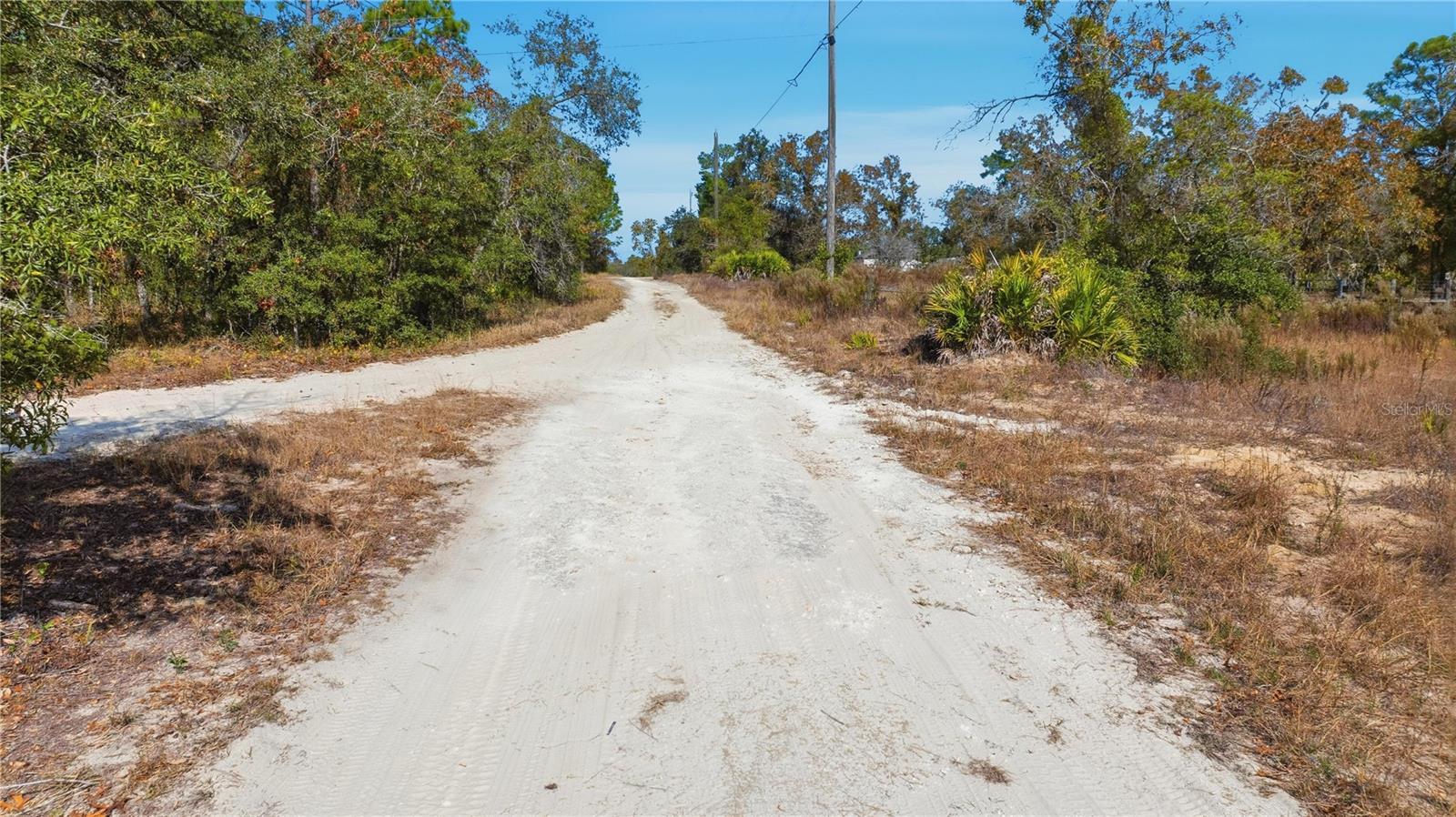 9097 N PEEWEE PT, DUNNELLON, FL — photo 4