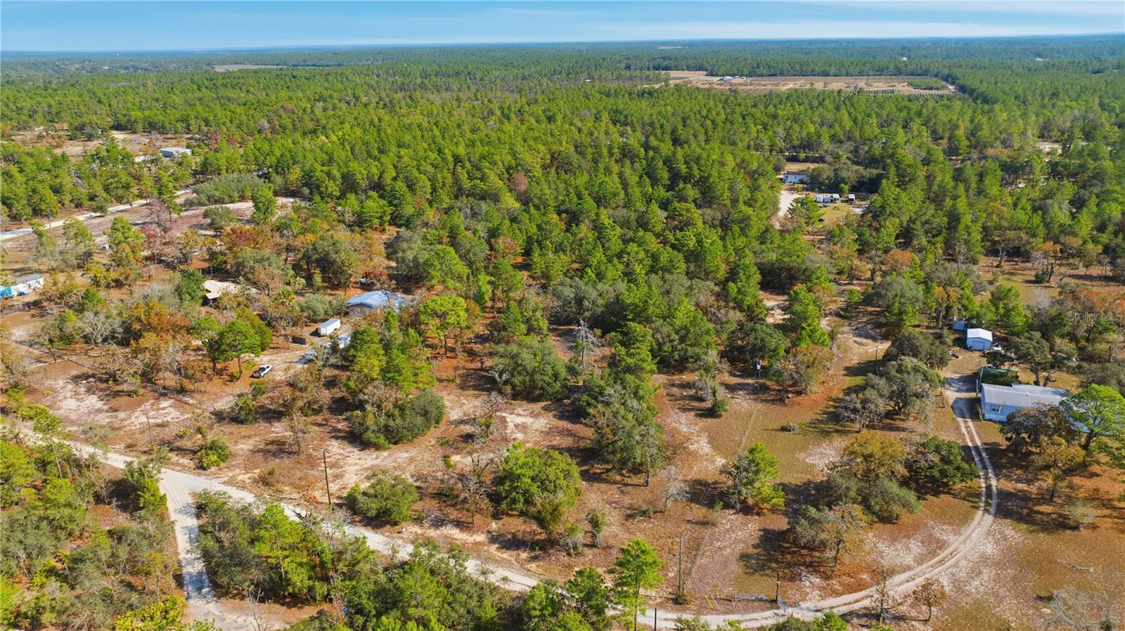 9097 N PEEWEE PT, DUNNELLON, FL — photo 5