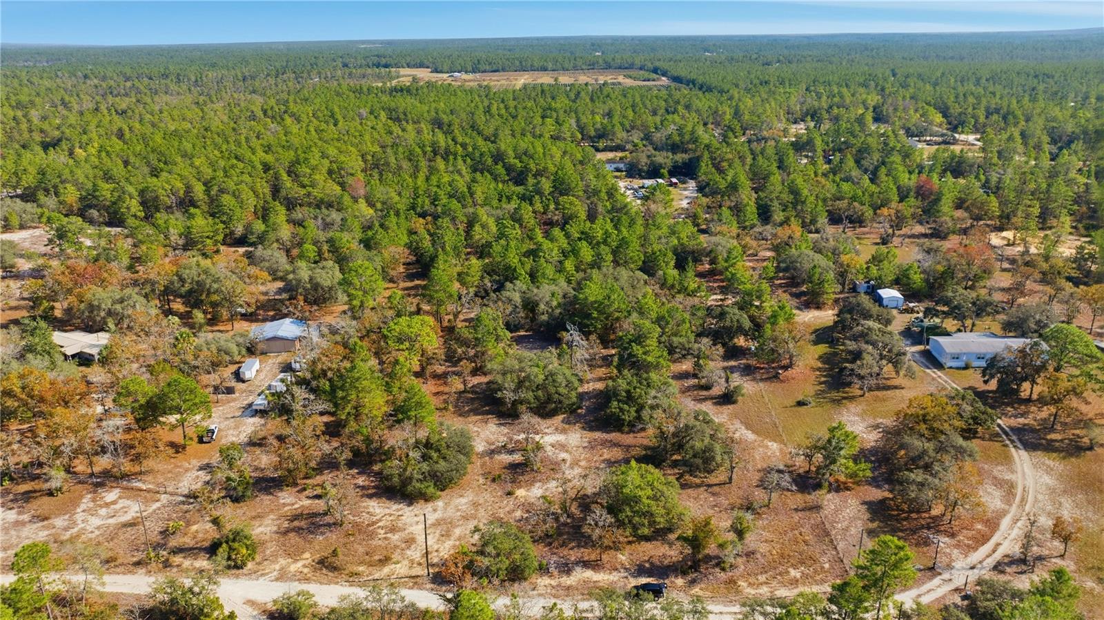 9097 N PEEWEE PT, DUNNELLON, FL — photo 8