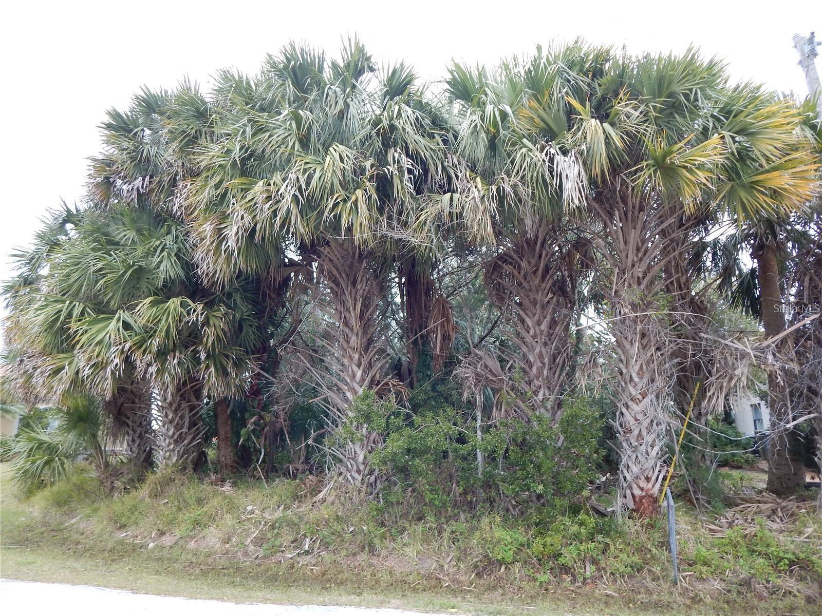 8 COLLINGVILLE CT, PALM COAST, FL