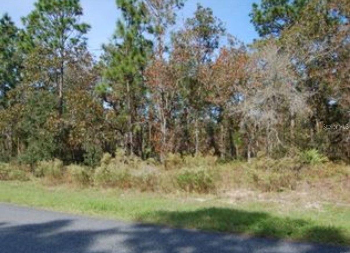 2084 W RILEY DR, CITRUS SPRINGS, FL — photo 2