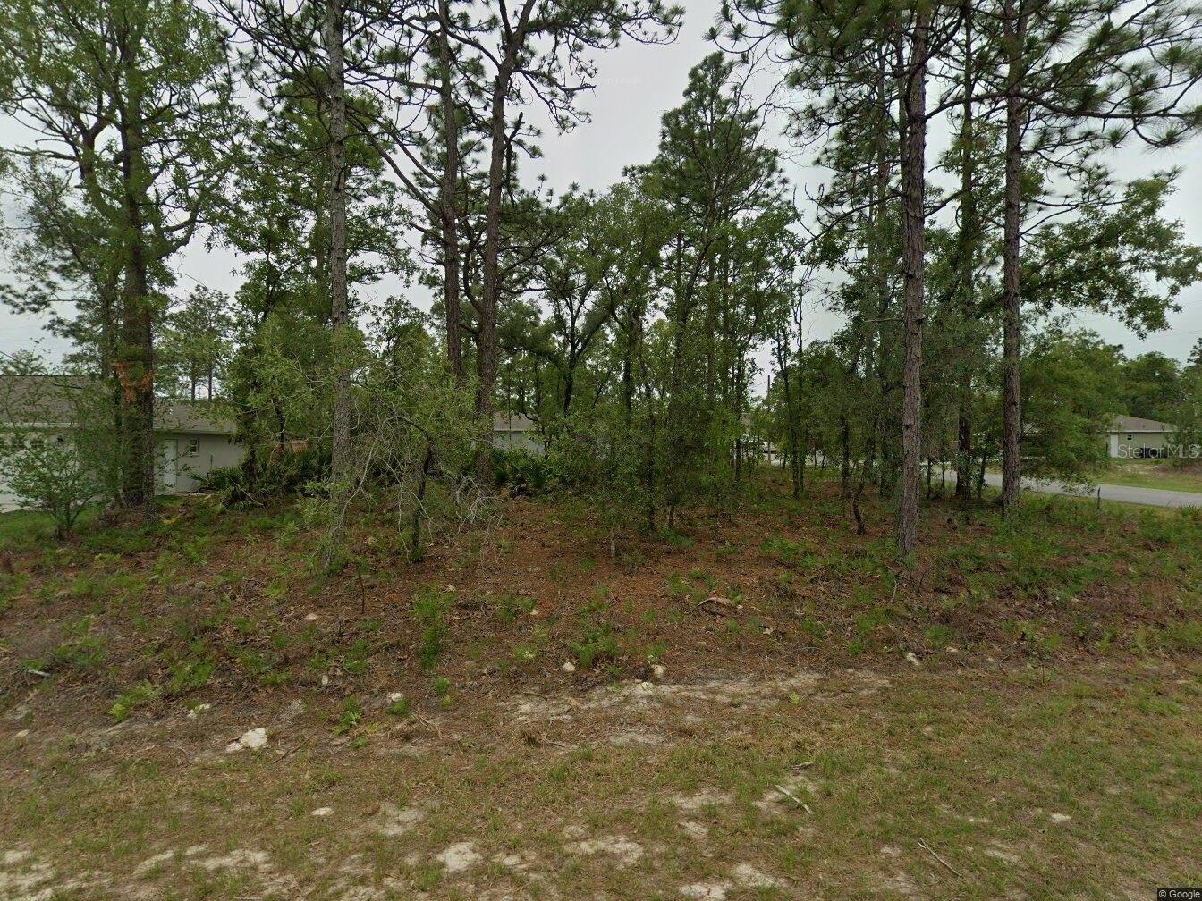 2084 W RILEY DR, CITRUS SPRINGS, FL — photo 3