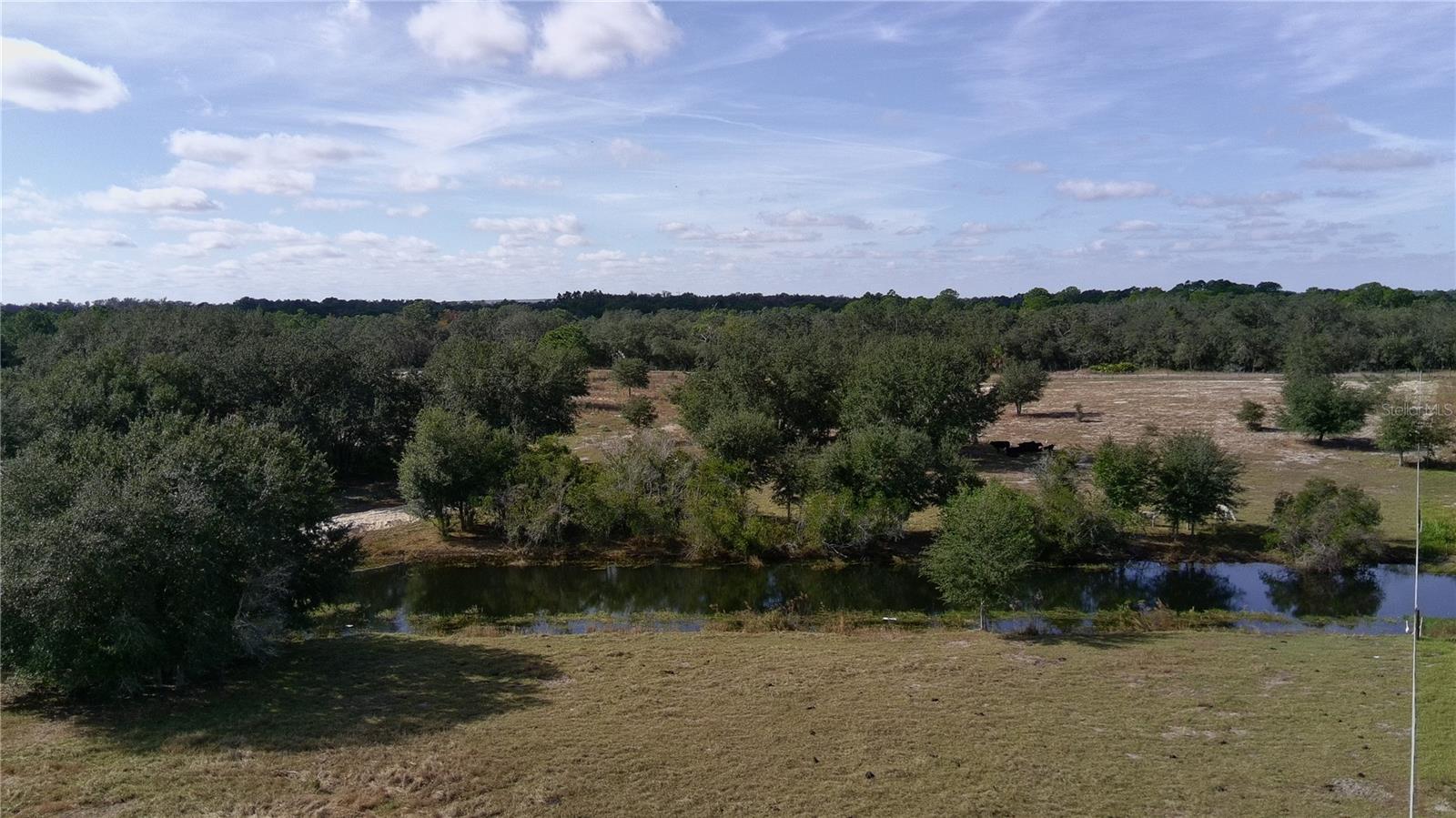 4547 GLENN SAINT MARY RD, LAKE WALES, FL — photo 14