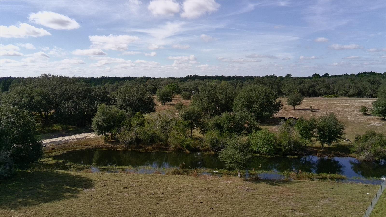 4547 GLENN SAINT MARY RD, LAKE WALES, FL — photo 15