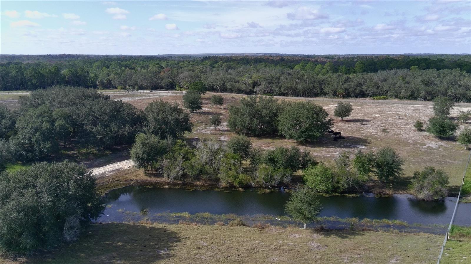 4547 GLENN SAINT MARY RD, LAKE WALES, FL — photo 17