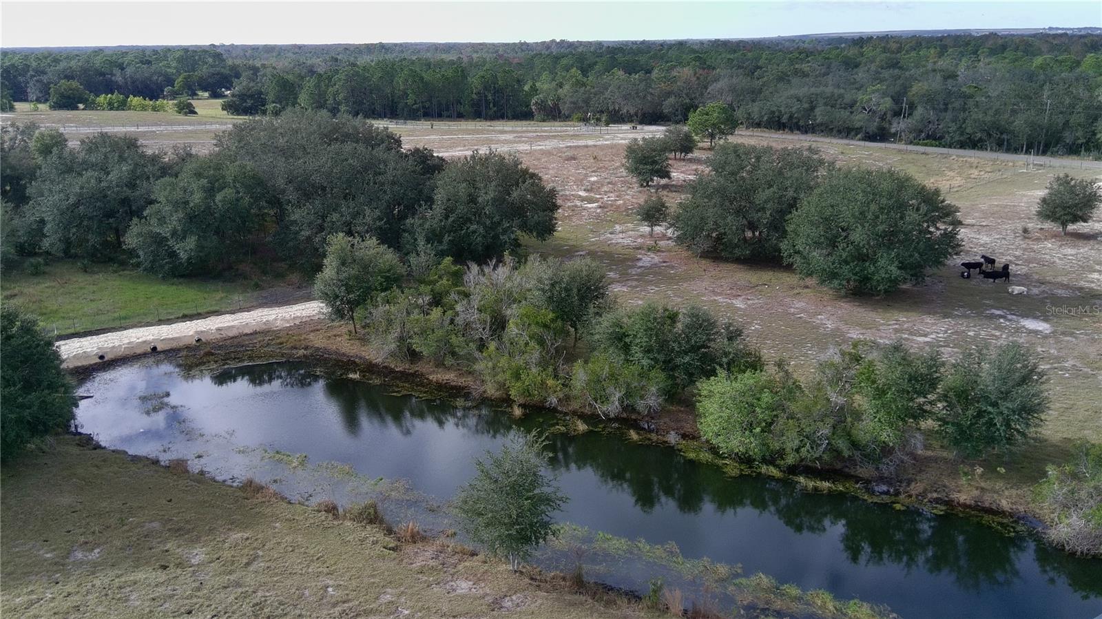 4547 GLENN SAINT MARY RD, LAKE WALES, FL — photo 18