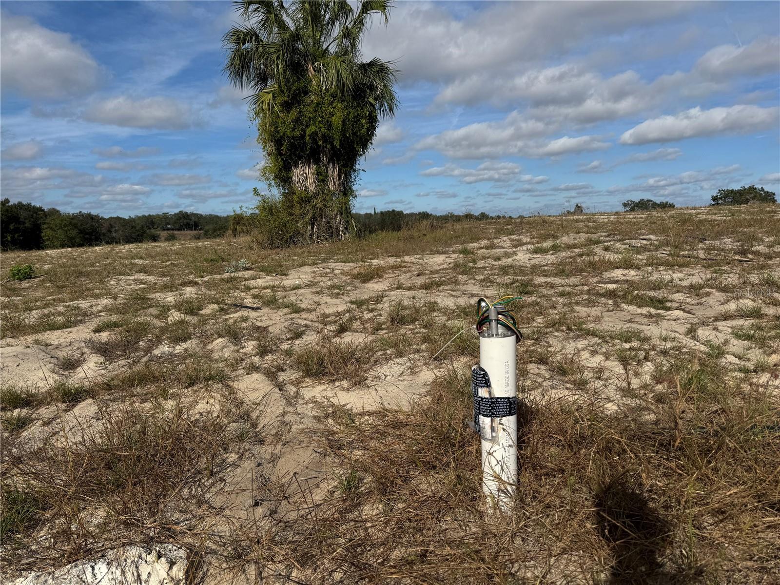4547 GLENN SAINT MARY RD, LAKE WALES, FL — photo 27