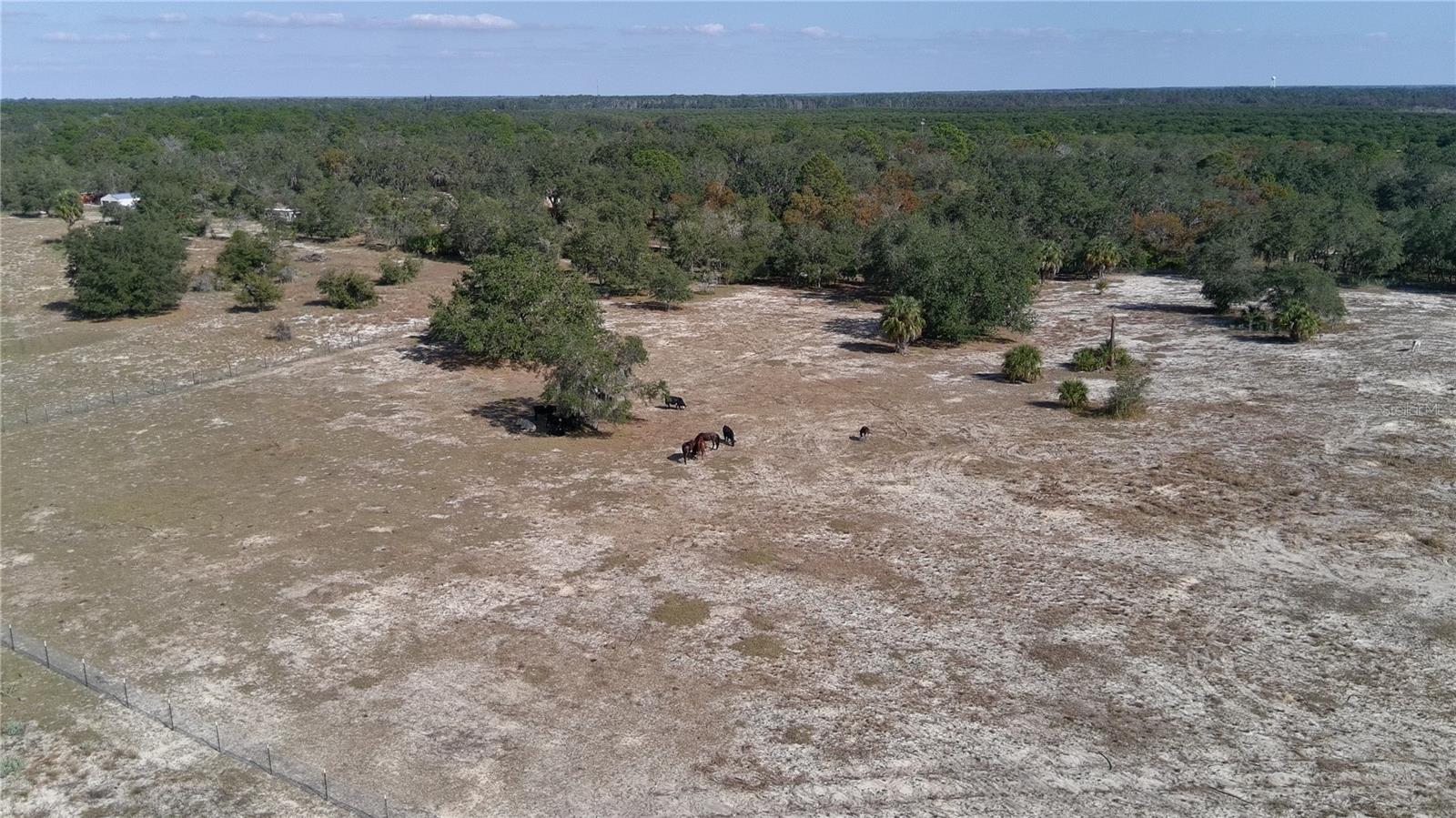 4547 GLENN SAINT MARY RD, LAKE WALES, FL — photo 38
