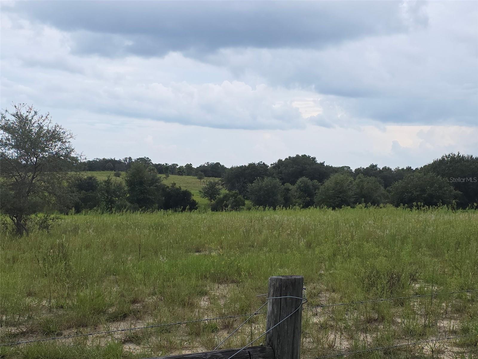 4547 GLENN SAINT MARY RD, LAKE WALES, FL — photo 4