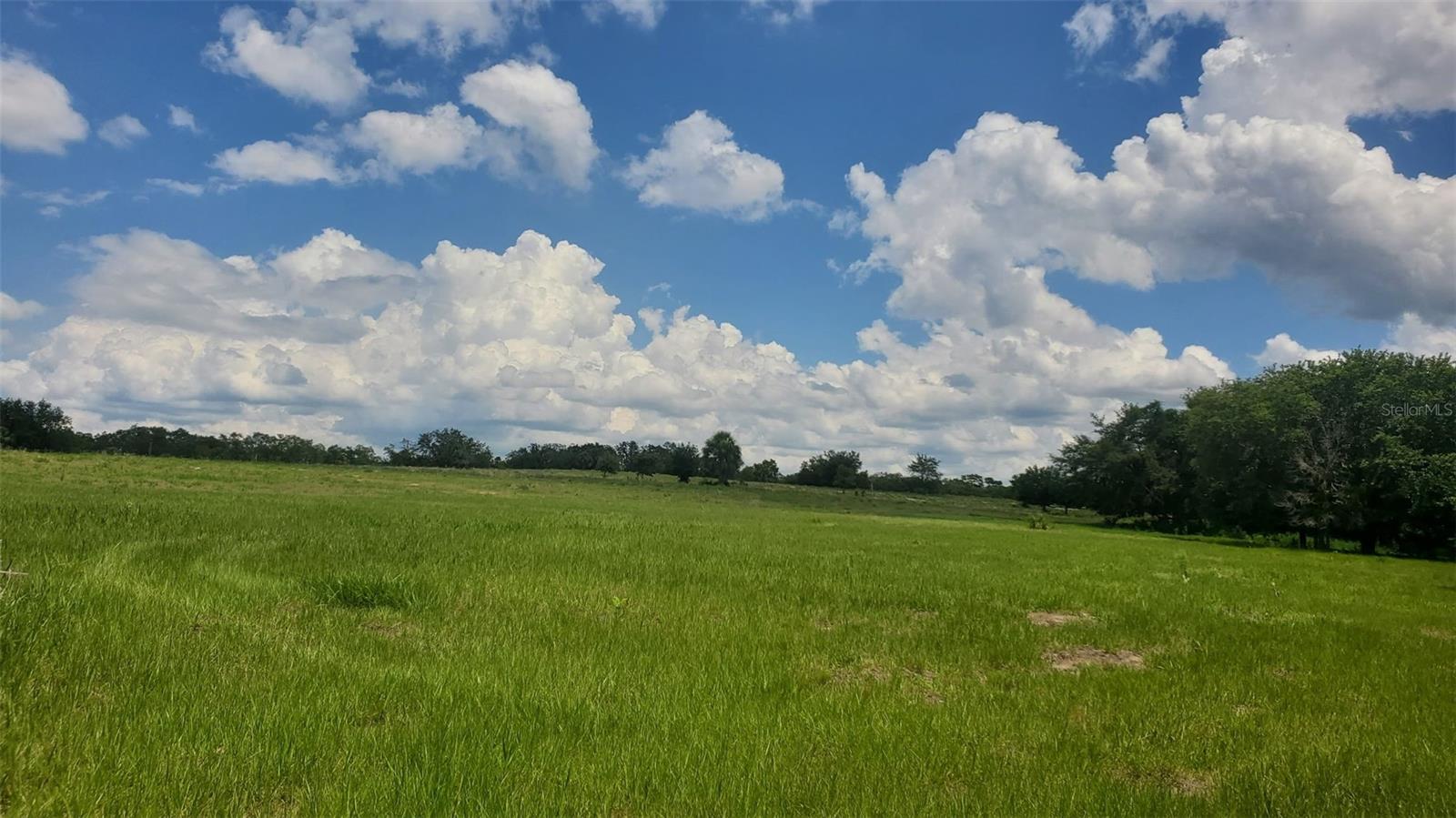 4547 GLENN SAINT MARY RD, LAKE WALES, FL — photo 23