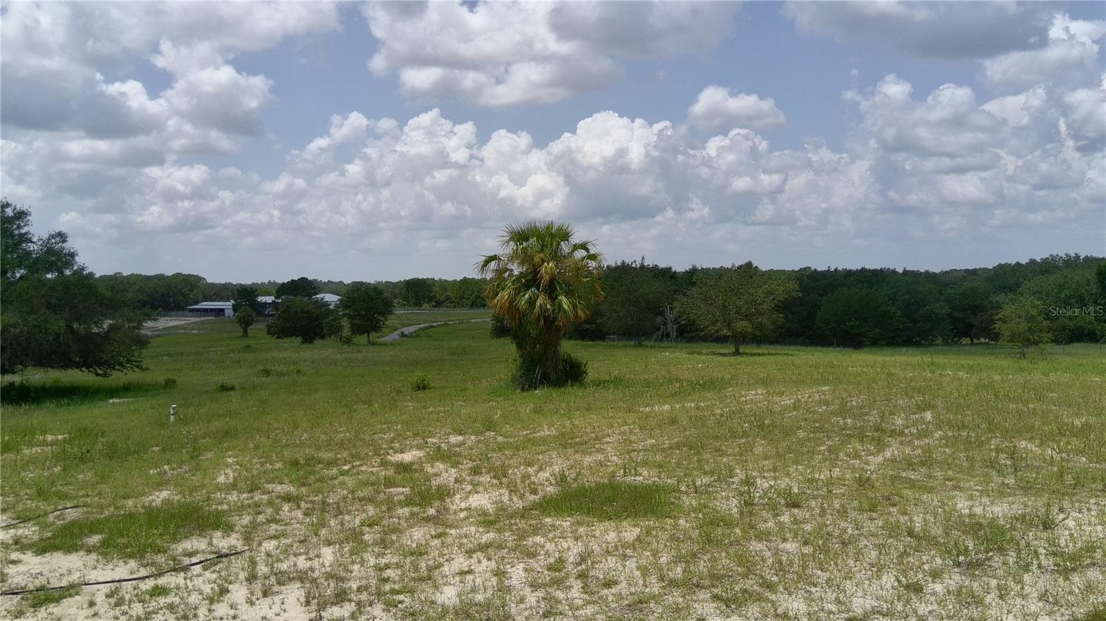 4547 GLENN SAINT MARY RD, LAKE WALES, FL — photo 44