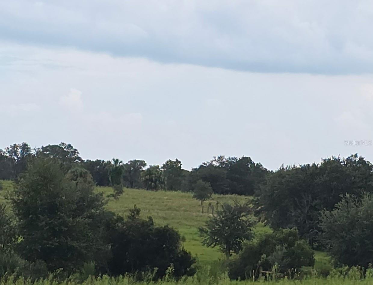 4547 GLENN SAINT MARY RD, LAKE WALES, FL — photo 45