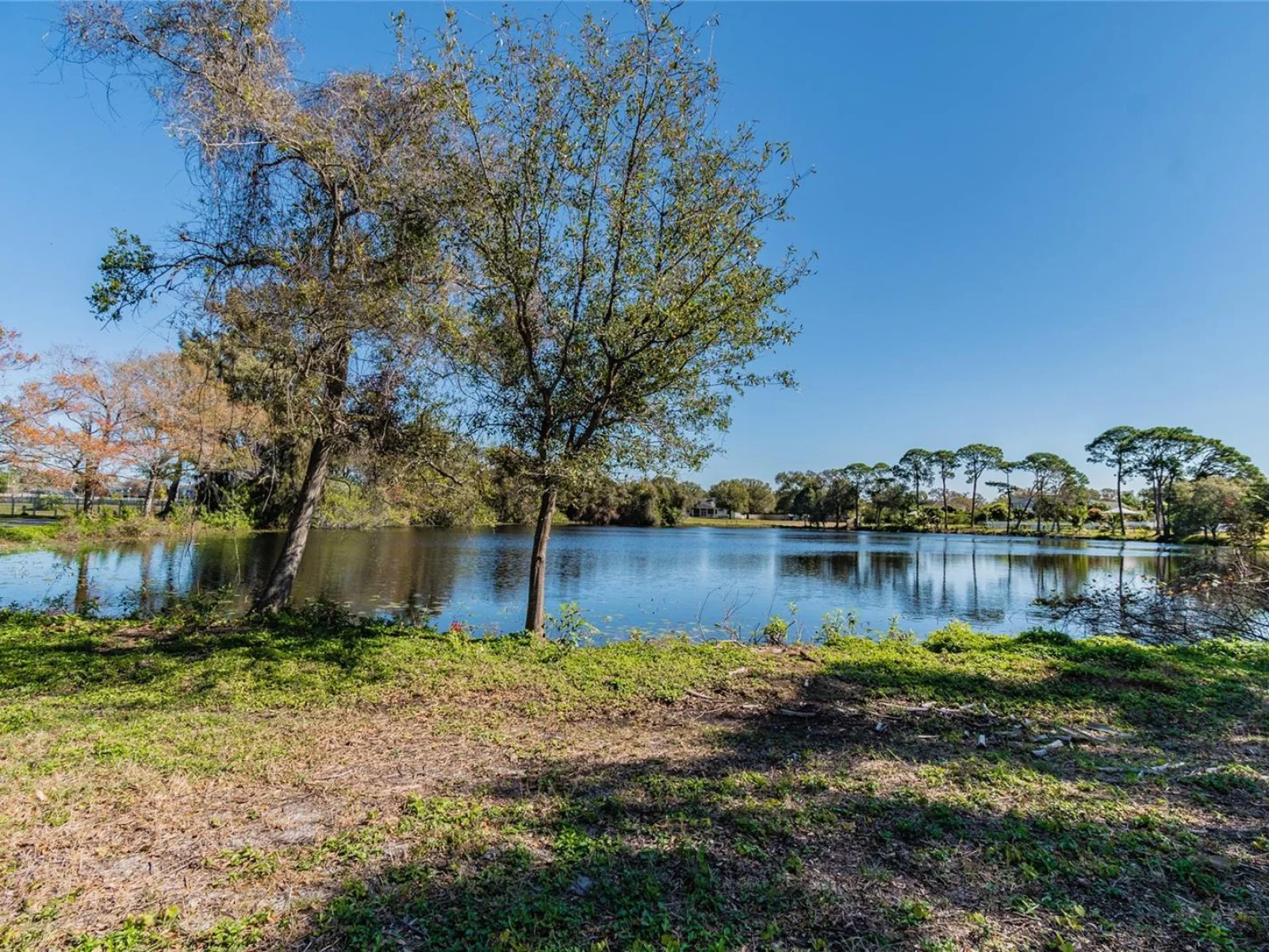 5750 60TH AVE N, ST PETERSBURG, FL — photo 23