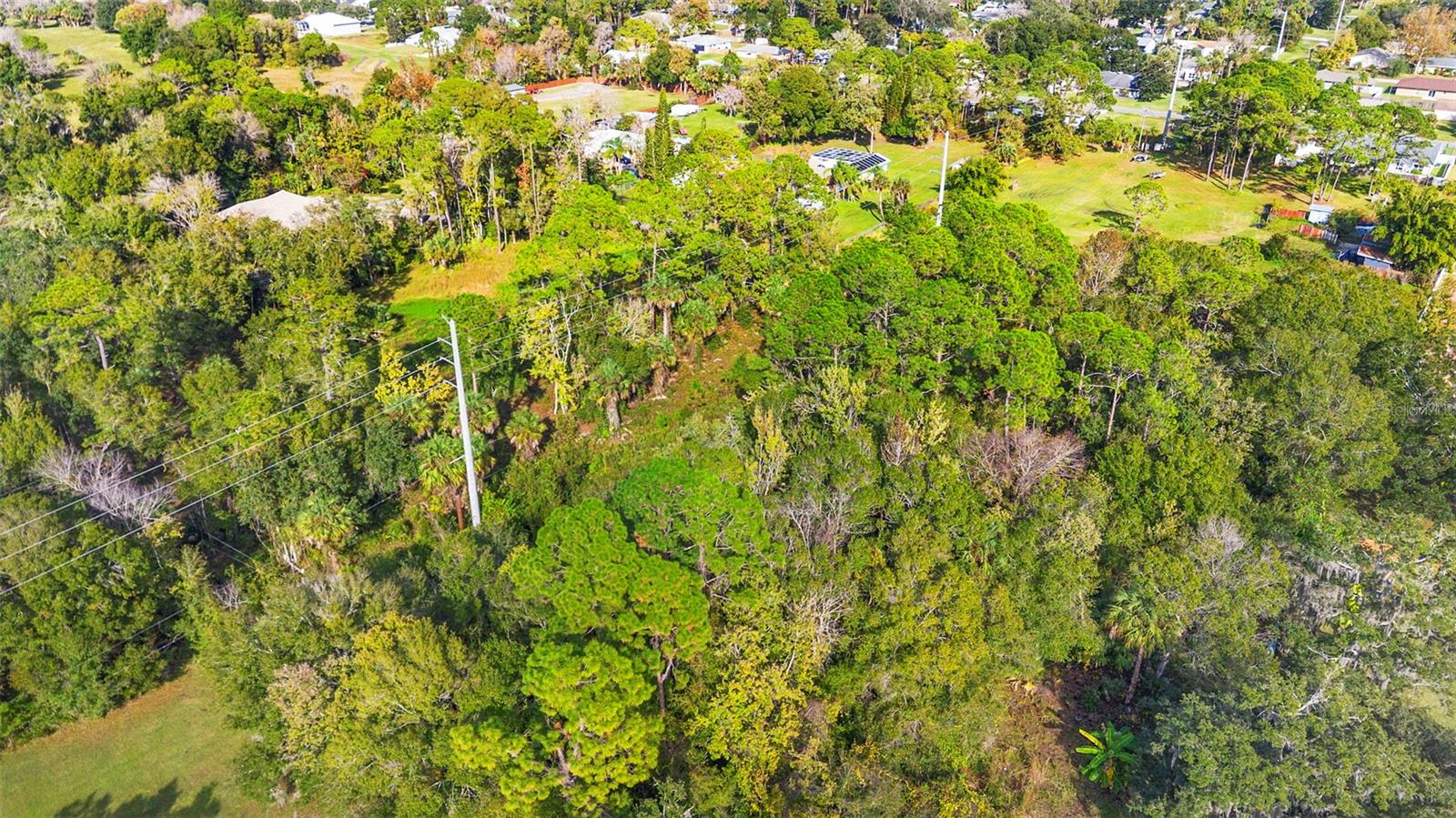 PINEDALE RD, EDGEWATER, FL — photo 7