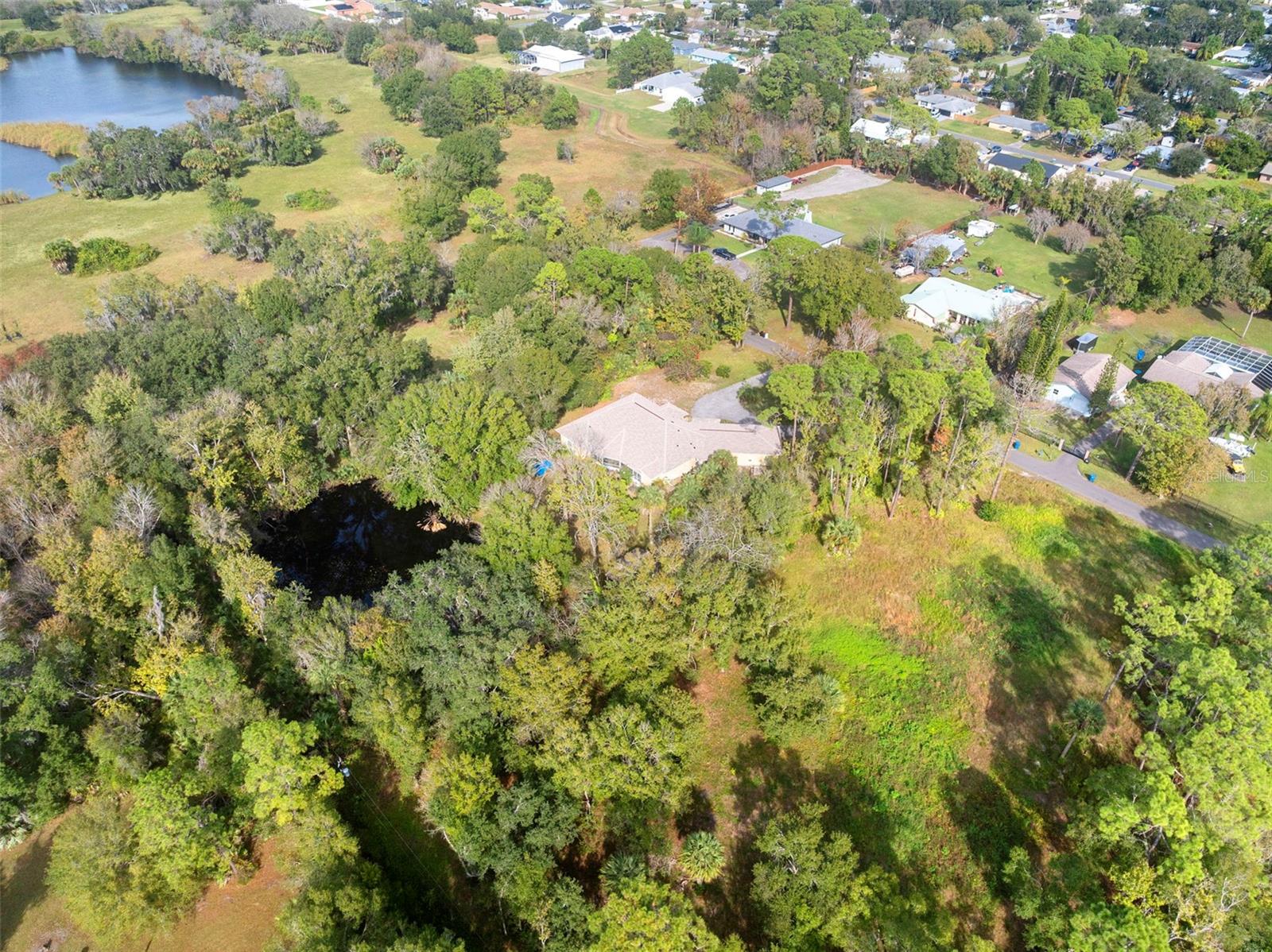 PINEDALE RD, EDGEWATER, FL — photo 12