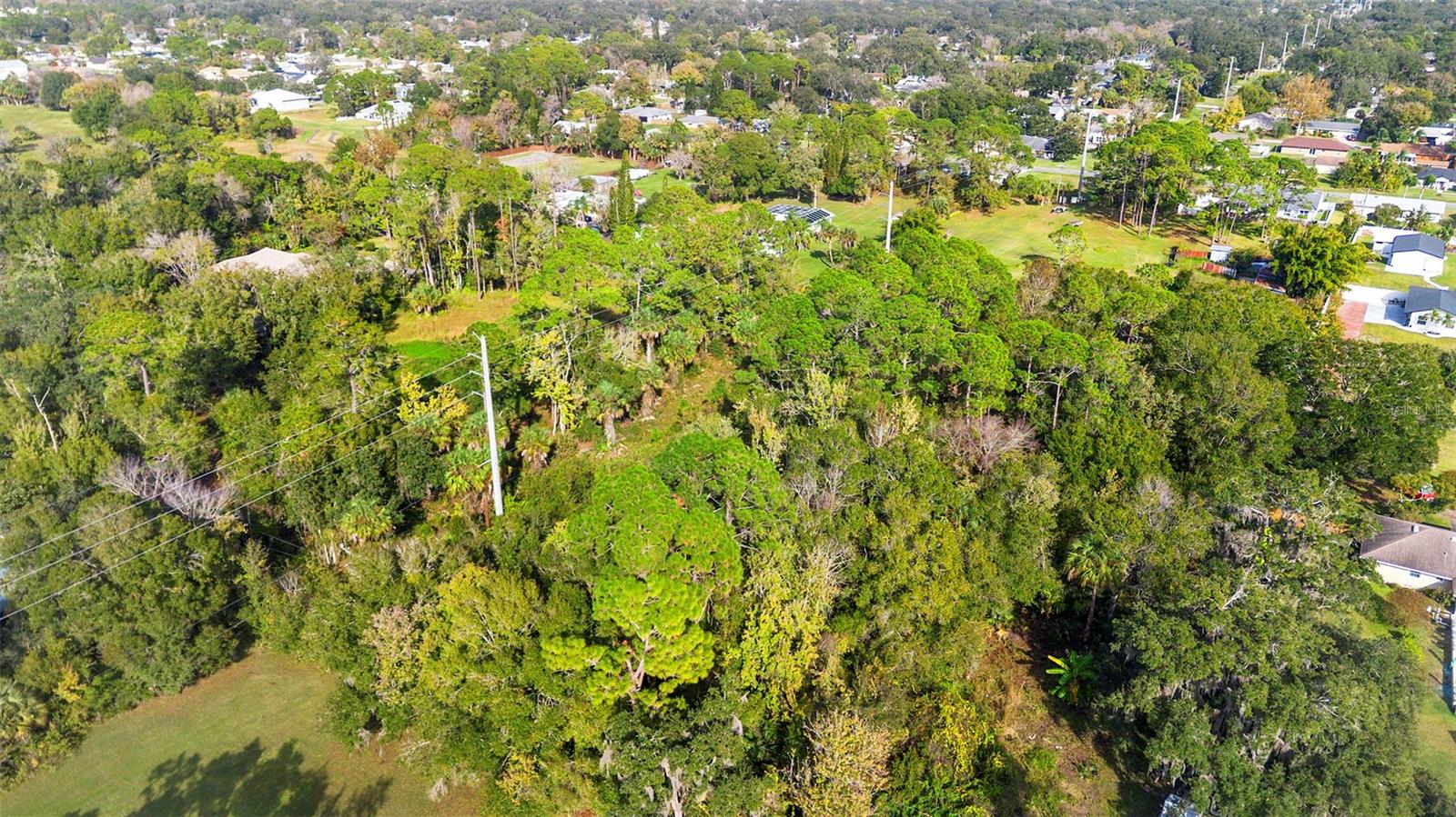 PINEDALE RD, EDGEWATER, FL — photo 15