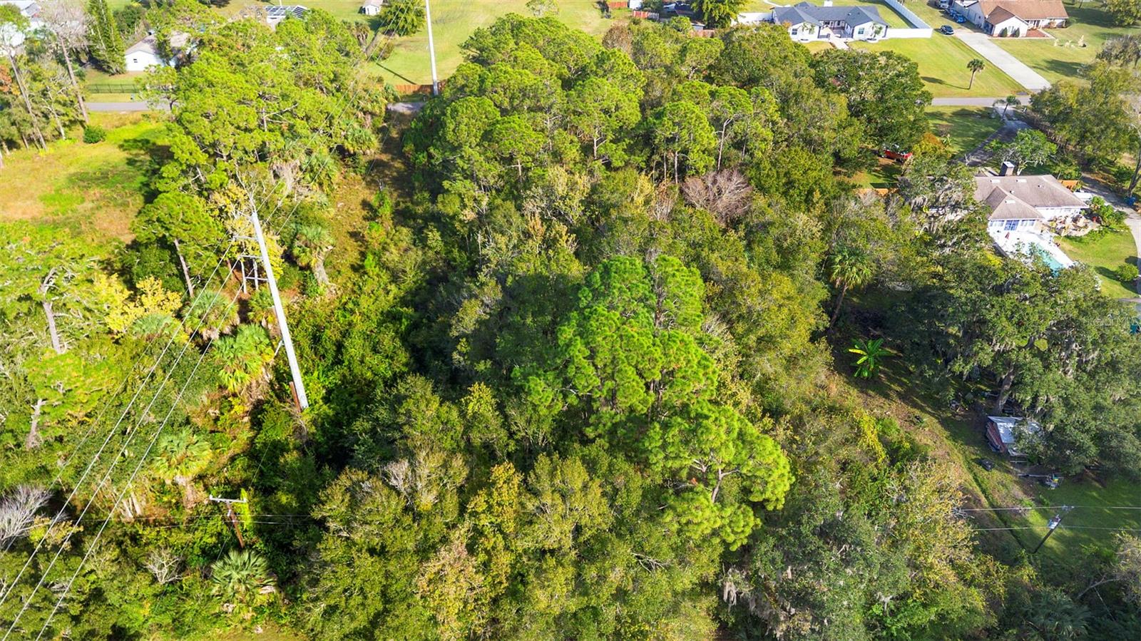 PINEDALE RD, EDGEWATER, FL — photo 18