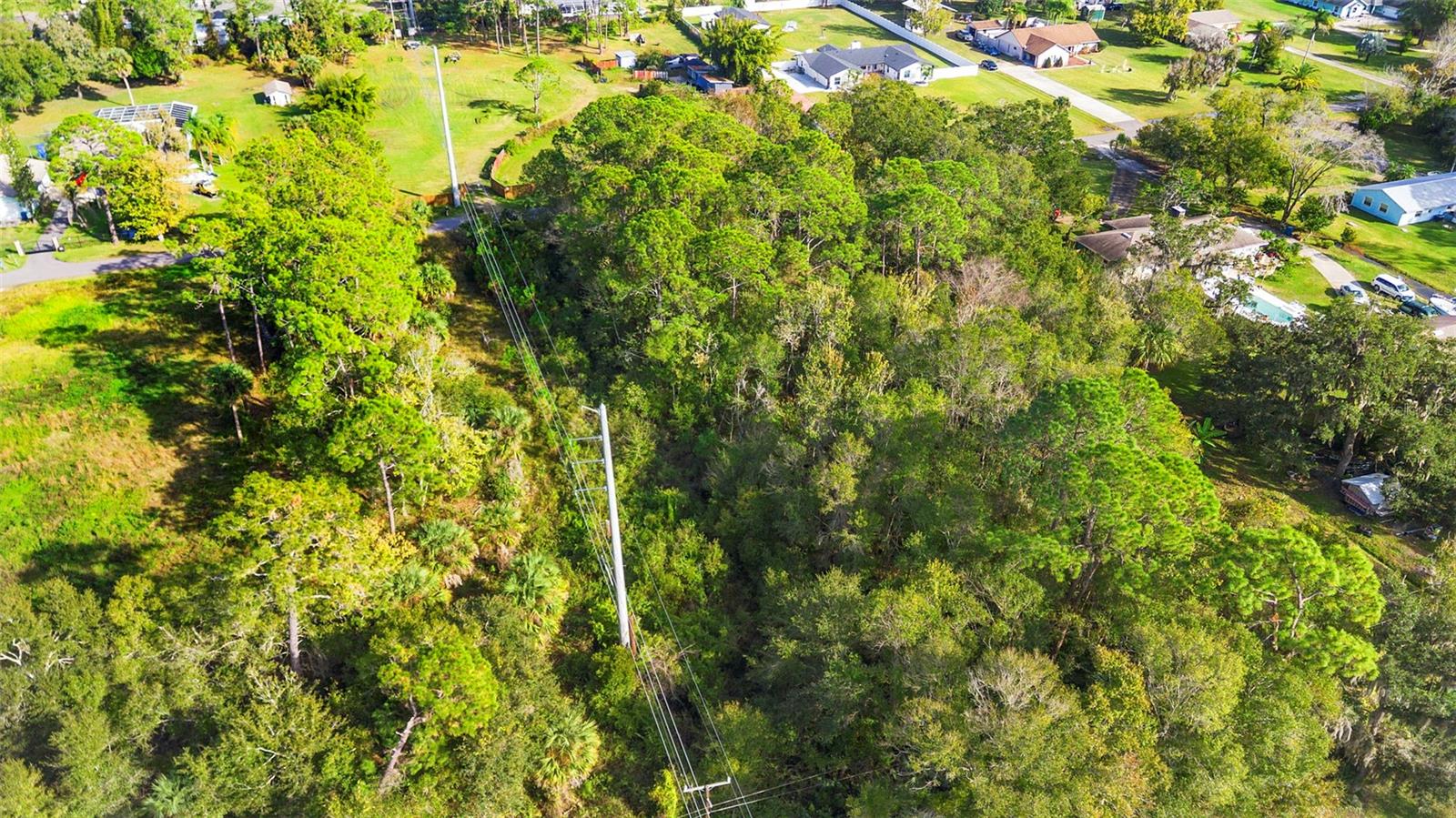 PINEDALE RD, EDGEWATER, FL — photo 19