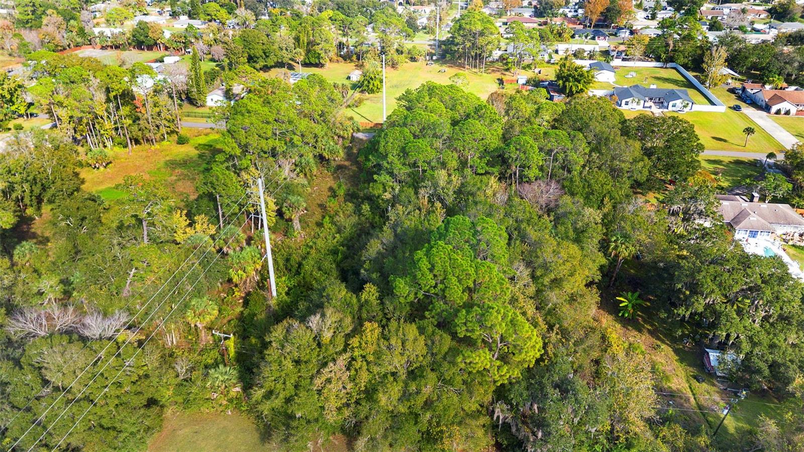 PINEDALE RD, EDGEWATER, FL — photo 21