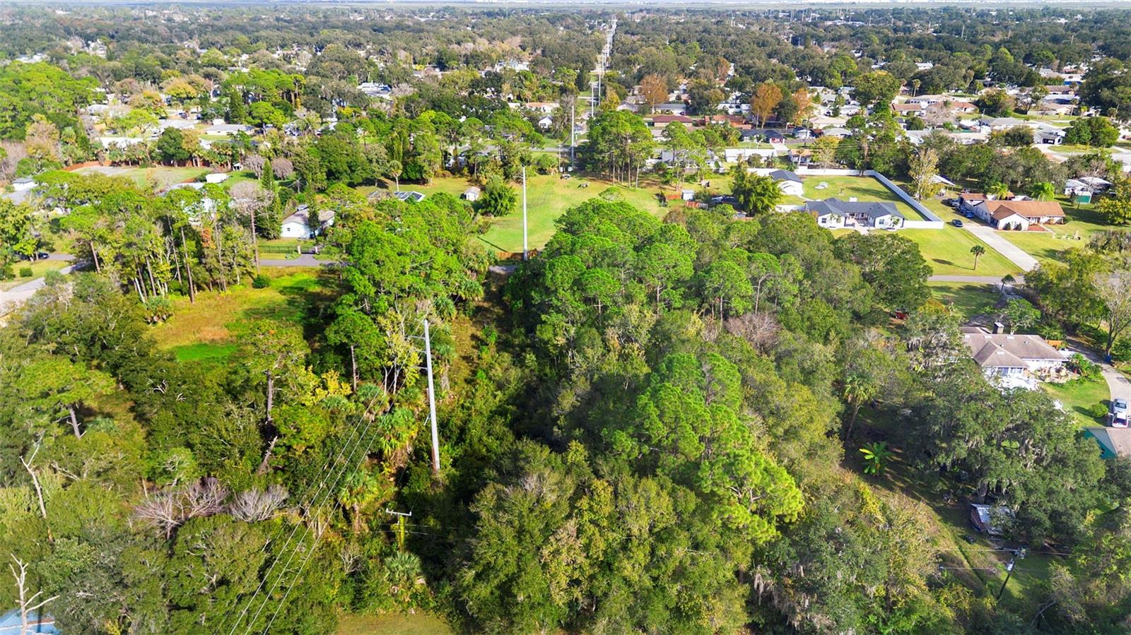 PINEDALE RD, EDGEWATER, FL — photo 23