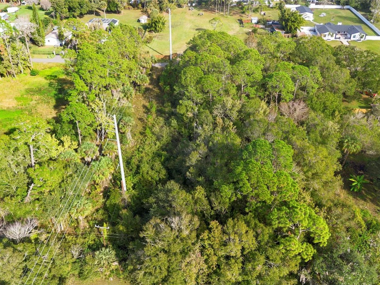 PINEDALE RD, EDGEWATER, FL — photo 26