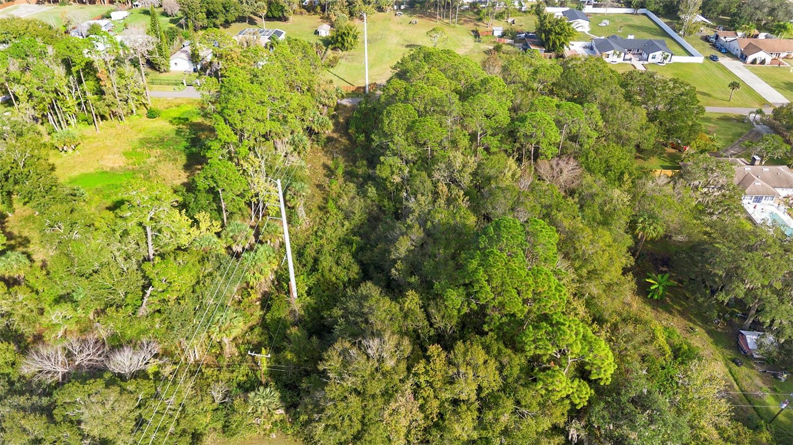 PINEDALE RD, EDGEWATER, FL — photo 25