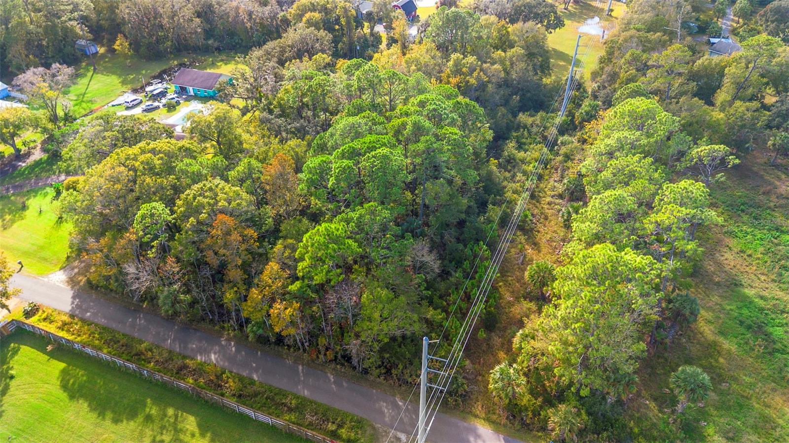 PINEDALE RD, EDGEWATER, FL — photo 29