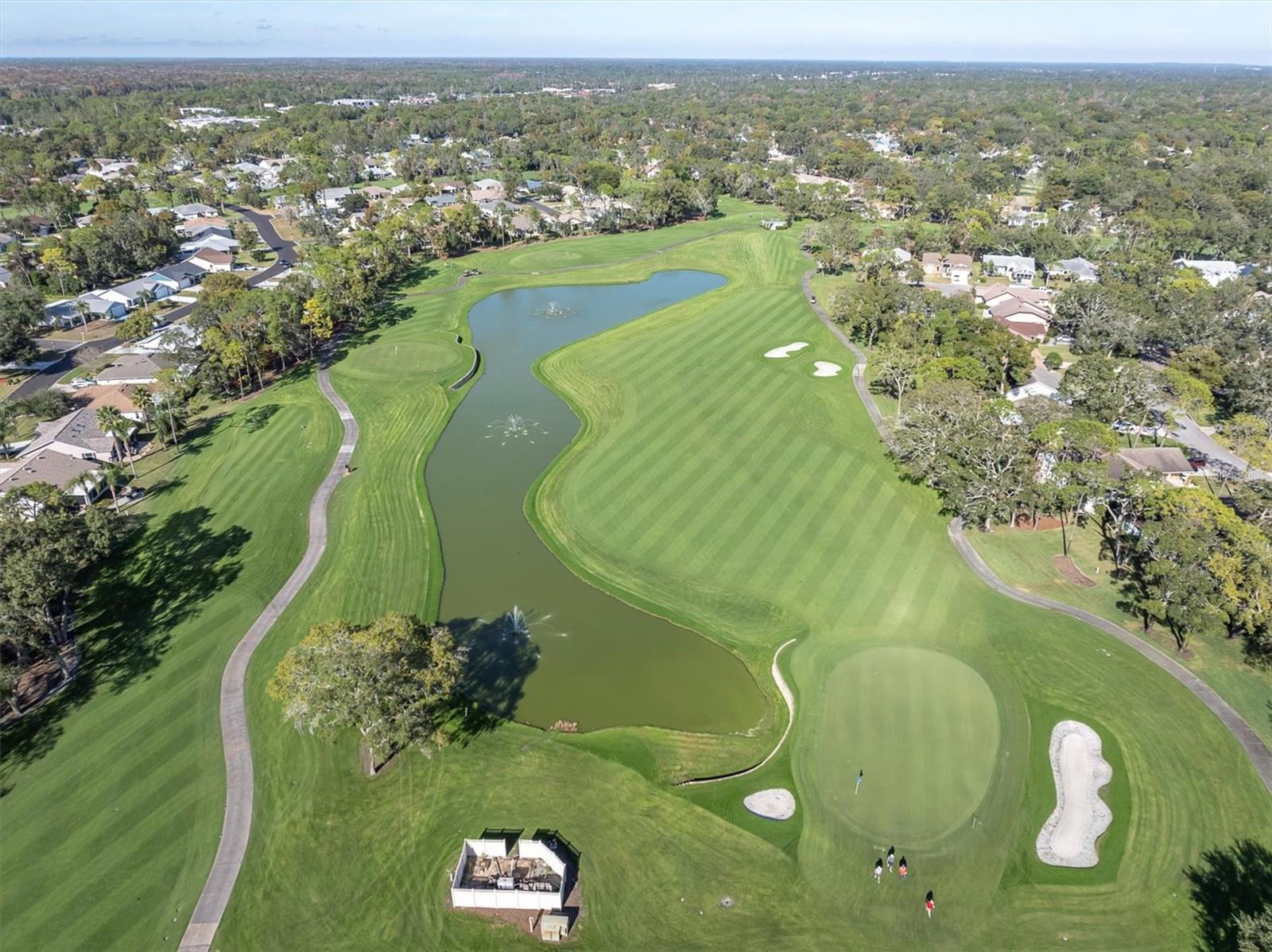 7099 POND VIEW CT, SPRING HILL, FL — photo 3