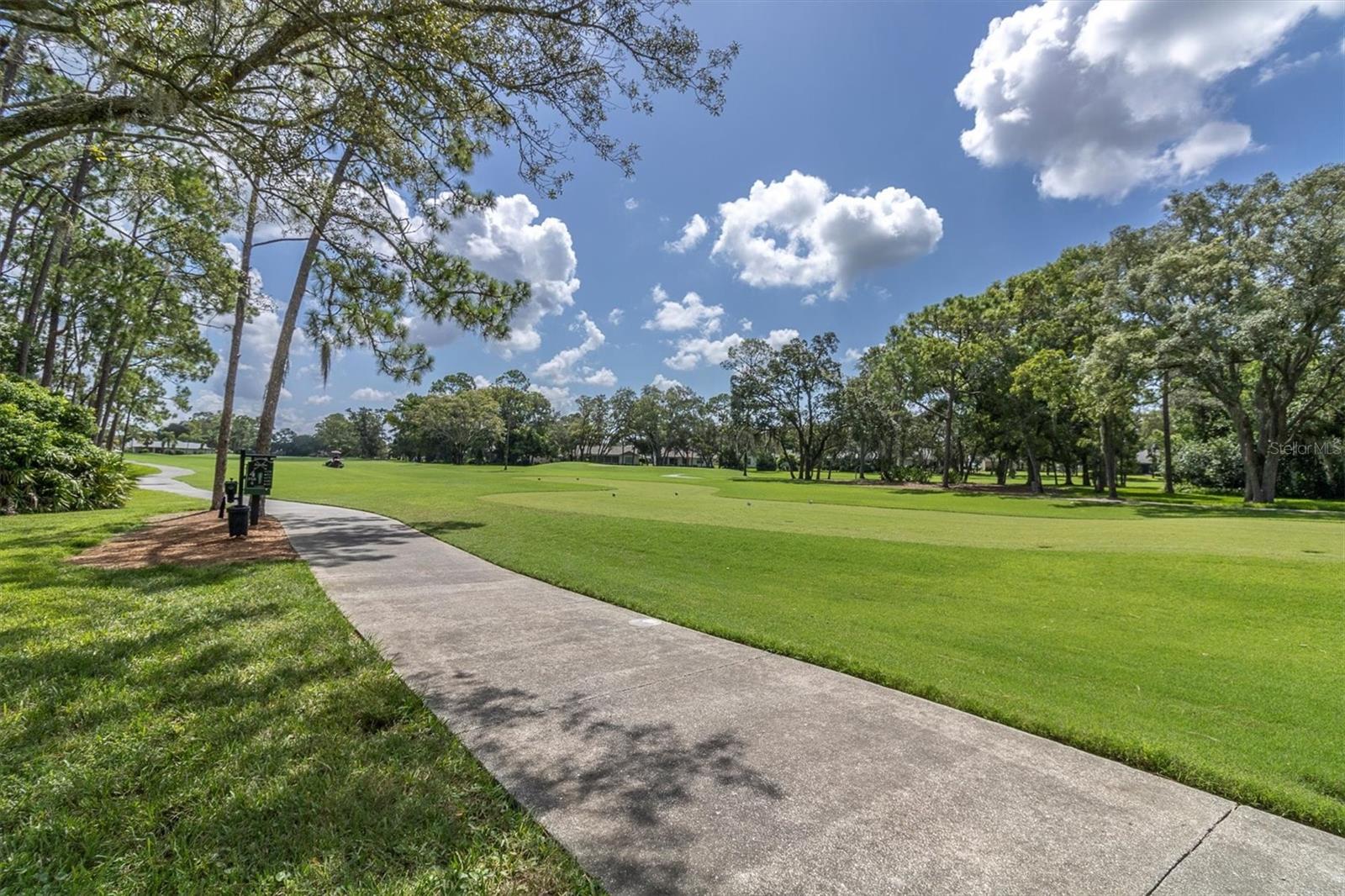 7099 POND VIEW CT, SPRING HILL, FL — photo 44
