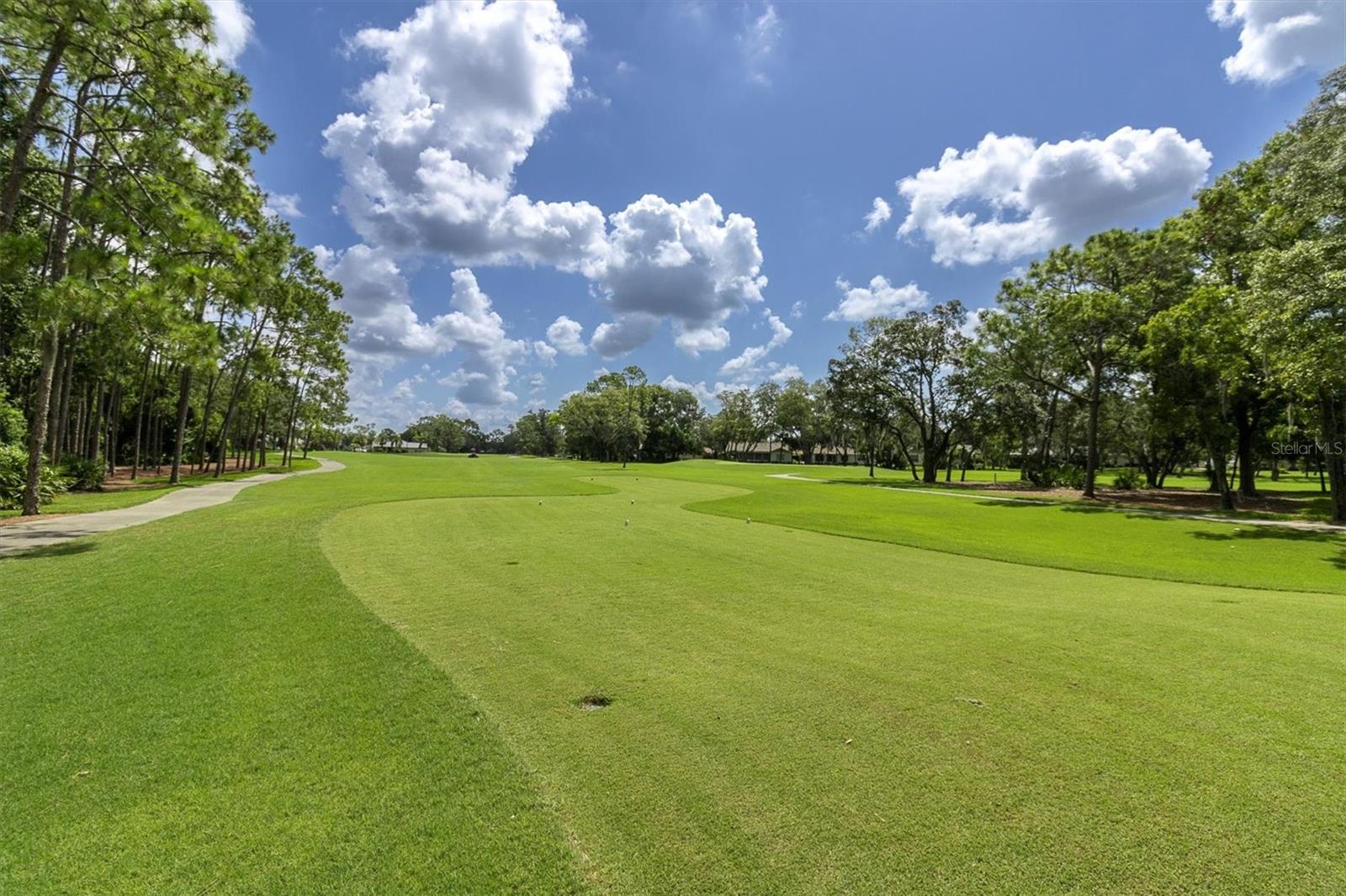 7099 POND VIEW CT, SPRING HILL, FL — photo 45