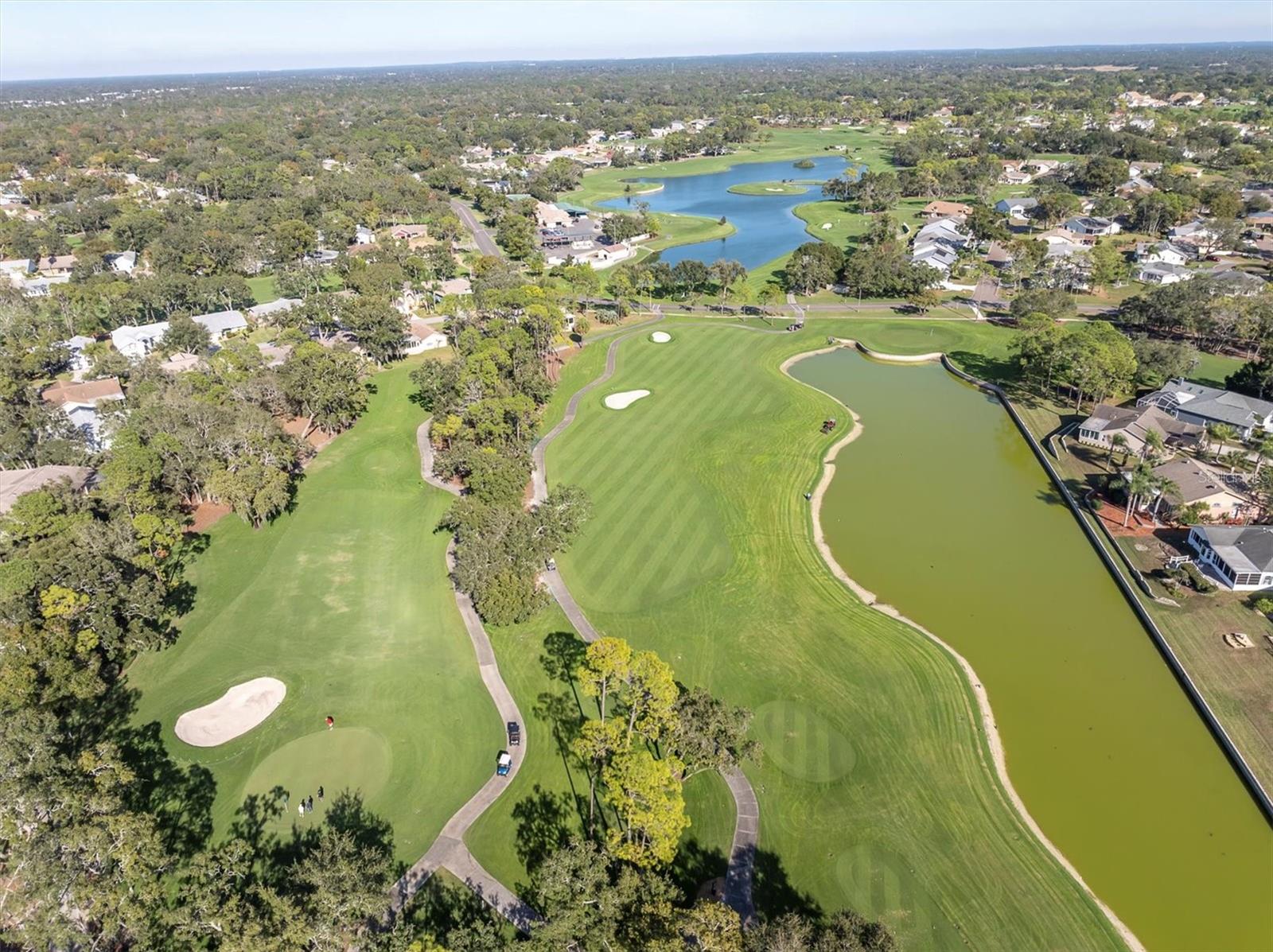7099 POND VIEW CT, SPRING HILL, FL — photo 61