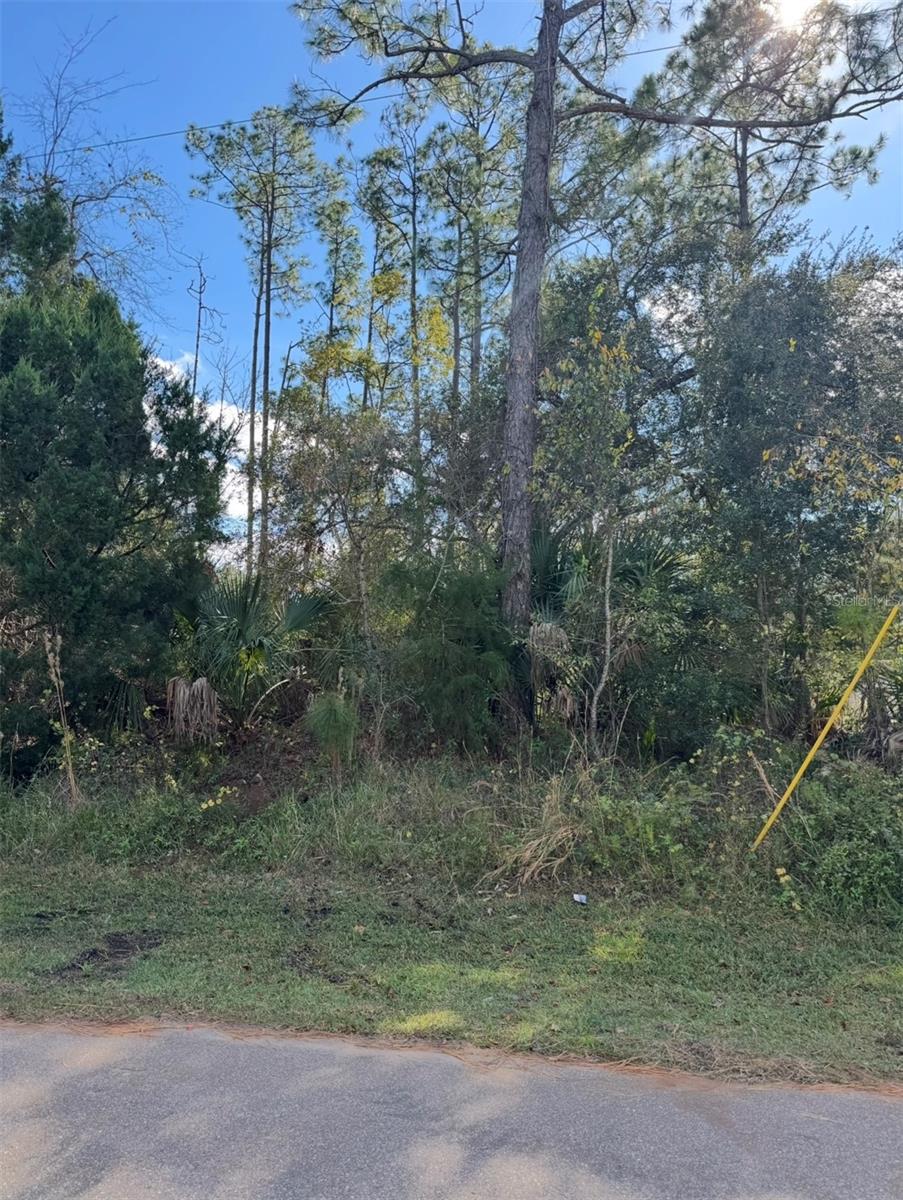 38 SLEEPY HOLLOW TRL, PALM COAST, FL — photo 3