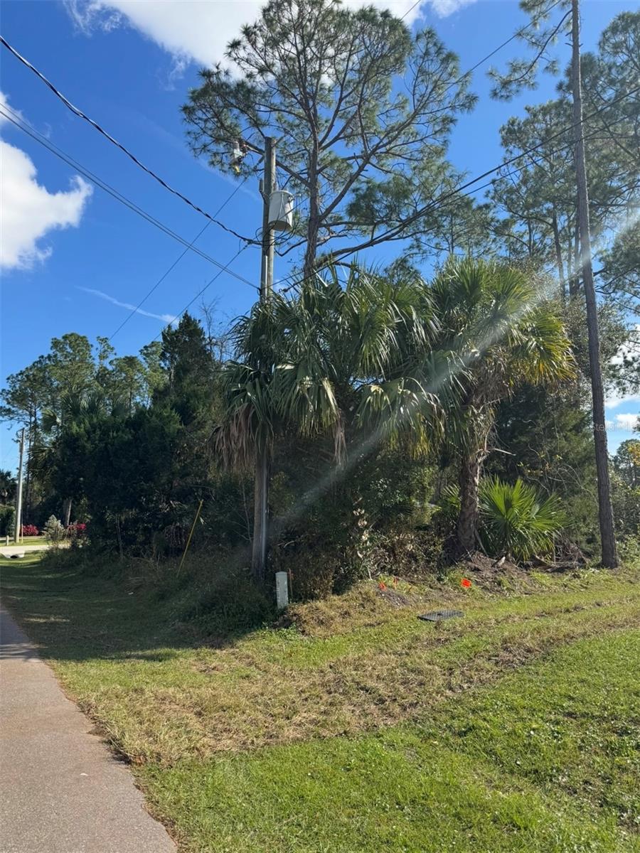 38 SLEEPY HOLLOW TRL, PALM COAST, FL