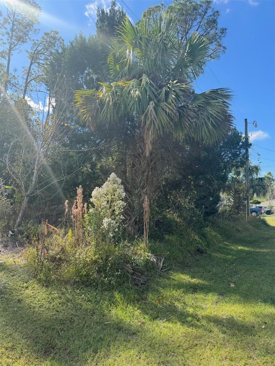 38 SLEEPY HOLLOW TRL, PALM COAST, FL — photo 2