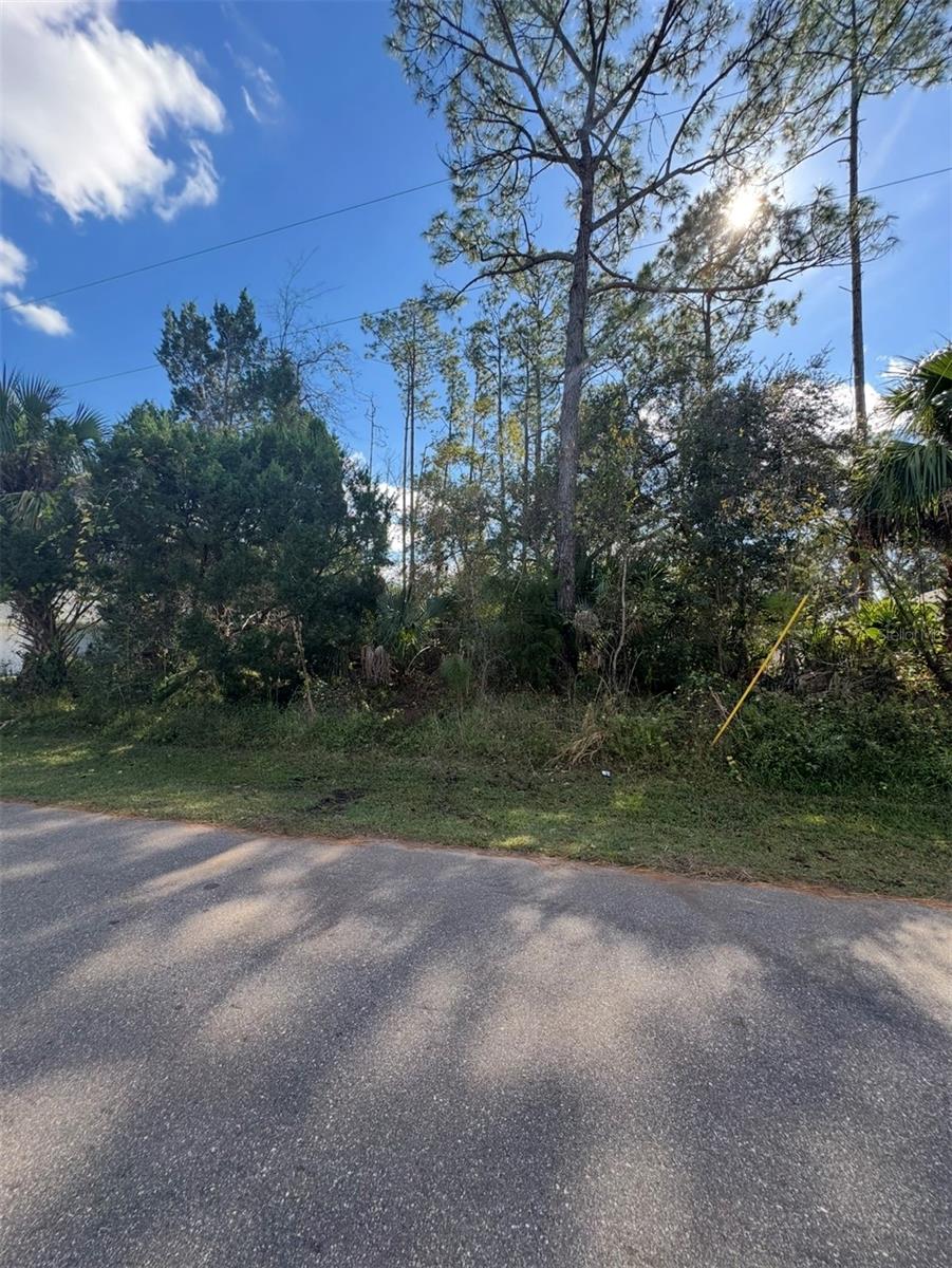 38 SLEEPY HOLLOW TRL, PALM COAST, FL — photo 4