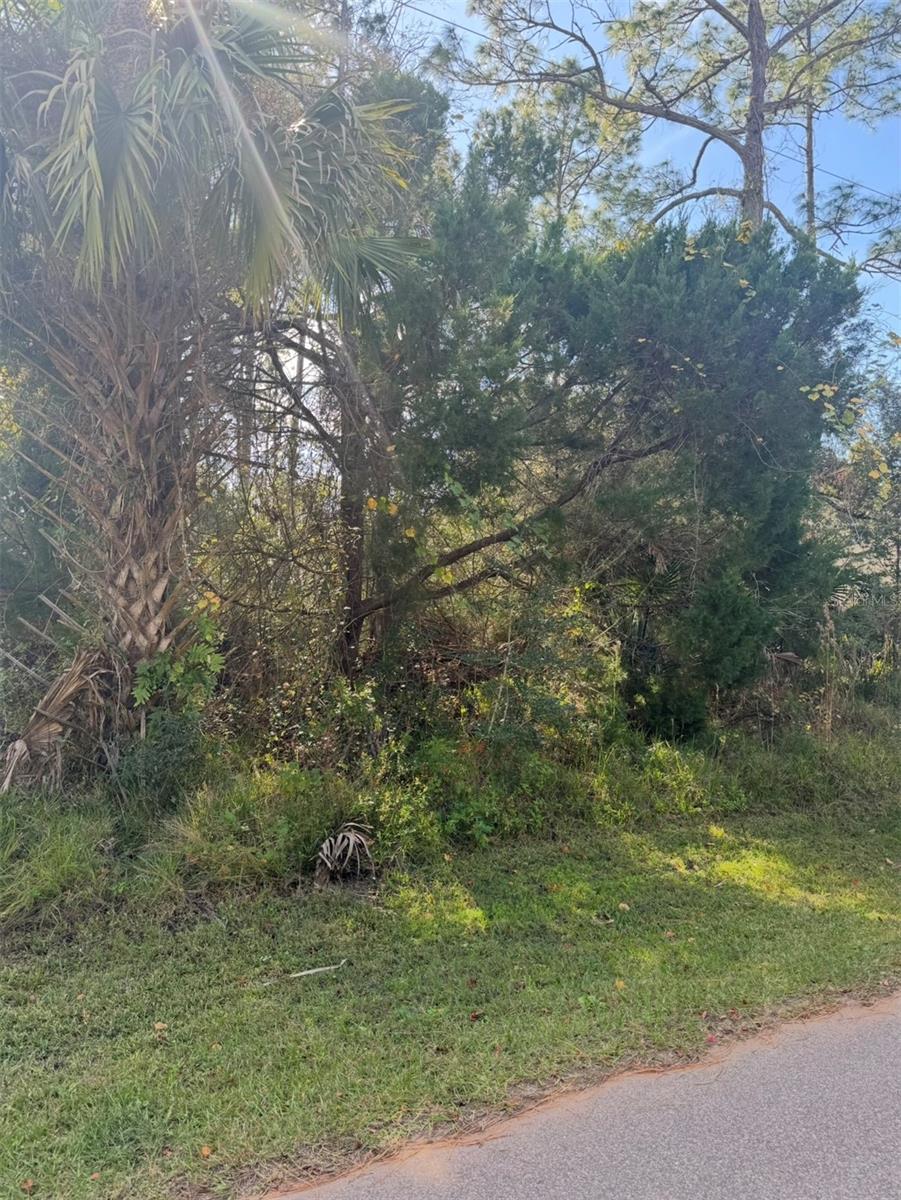 38 SLEEPY HOLLOW TRL, PALM COAST, FL — photo 5