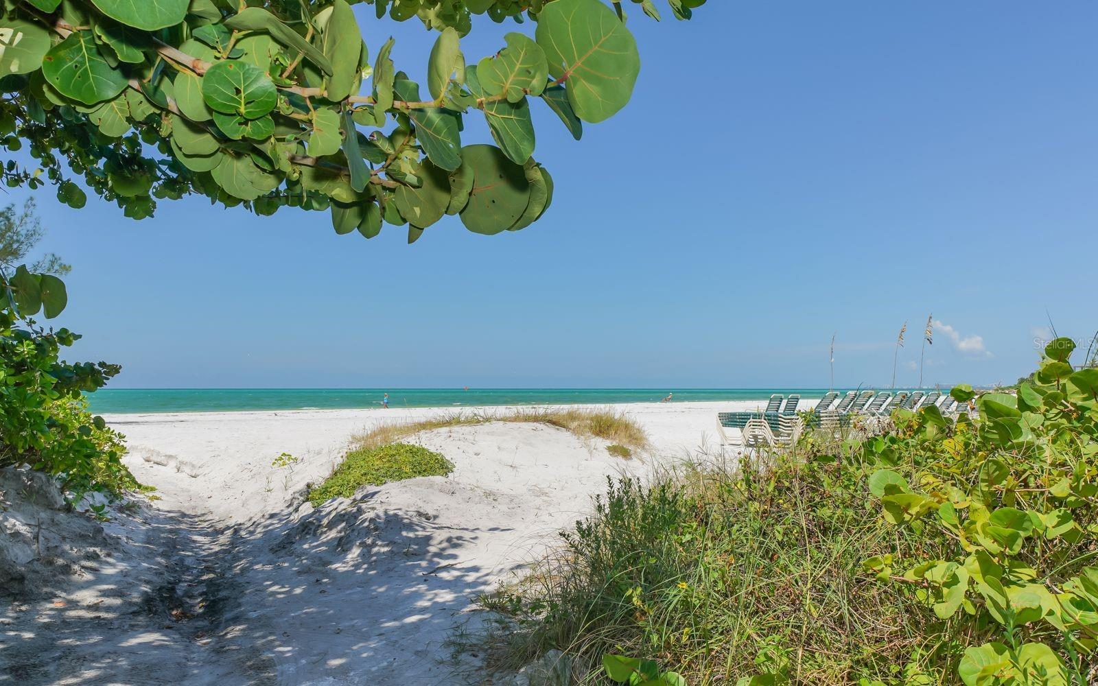 101 WHISPERING SANDS DR #107, SARASOTA, FL — photo 49